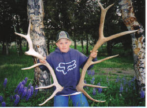 Bub With Elk Sheds - 2005