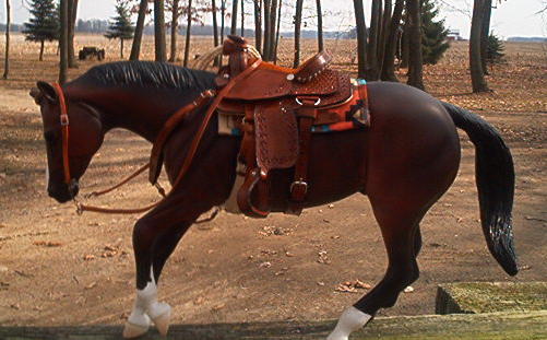 All-Around/Roping Saddle Set