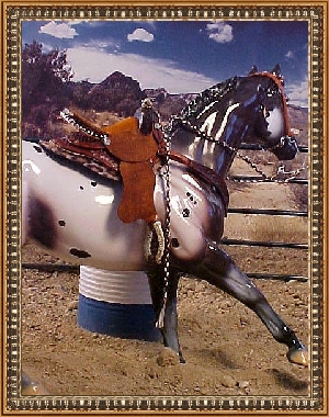 Tri-Color Barrel Saddle With Mechanical Hackamore