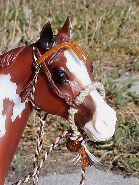 Braided Bosal and Mecate' Bridle