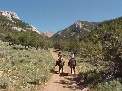 Ride In Upper Berry Creek Canyon With Friend
