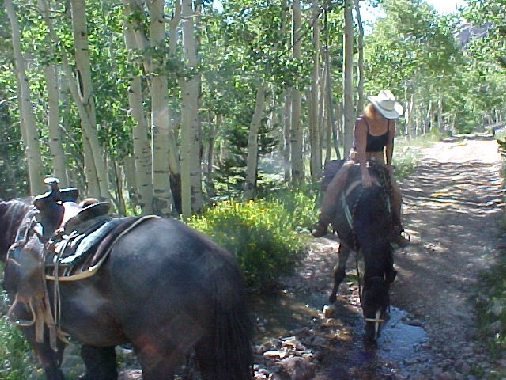 Ride In Upper Berry Creek Canyon